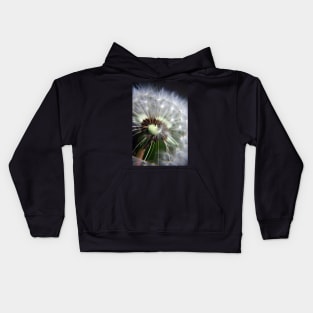 Dandelion Seeds Kids Hoodie